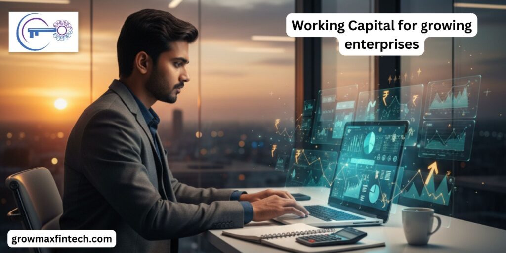 Growmax Fintech Simplifying working Capital for growing enterprises